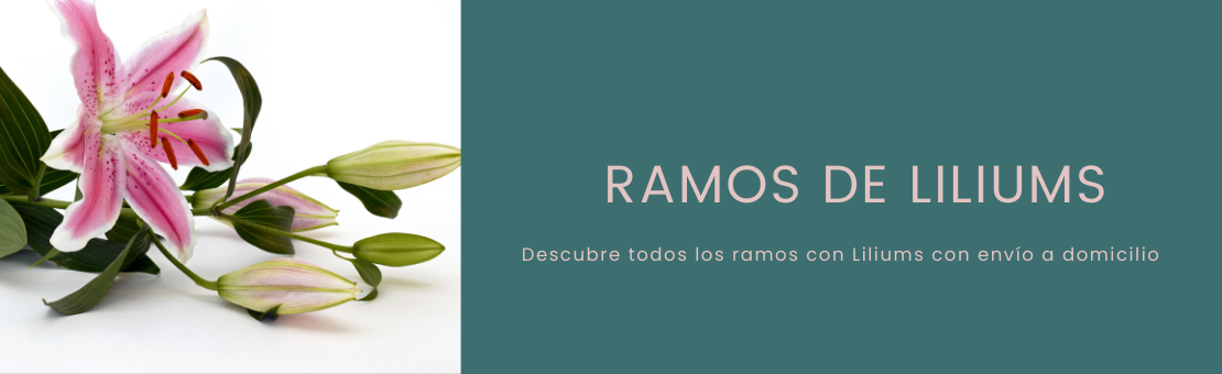 Comprar Ramos de liliums online